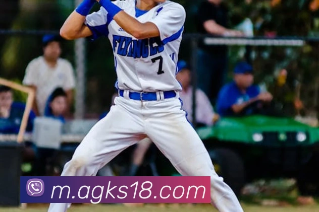 ag百家乐平台生态图